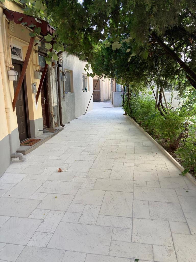 布加勒斯特Perla Plantelor公寓 外观 照片